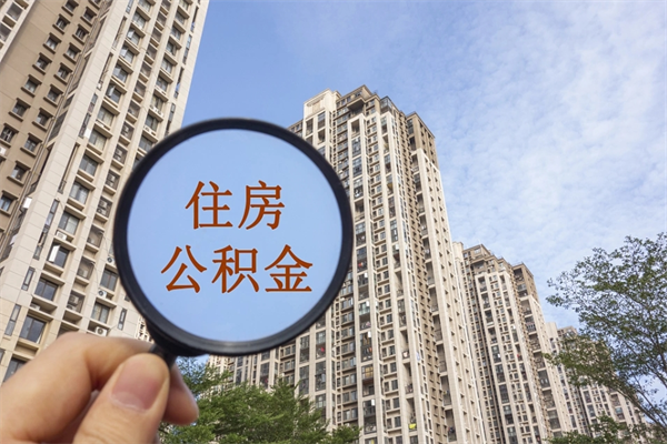 娄底怎么举报公积金小广告（住房公积金怎么举报）